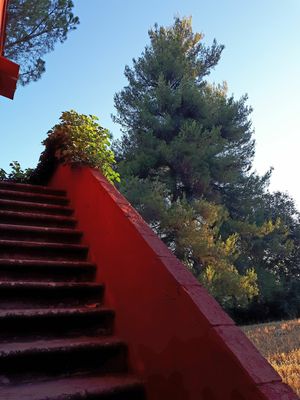 Casa Divina is a beautiful country house, immersed in a forest of amazing pine trees, and ancient olive trees.
Located on a hill-top, in the silent, quiet Tuscan countryside, it is the perfect destination for relaxing and inspiring holidays. at Casa Divina in Pisa