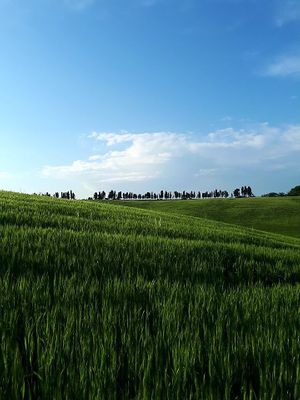 Hiking around Casa Divina at Casa Divina in Pisa