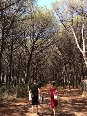 Going to the beach at Casa Divina in Pisa