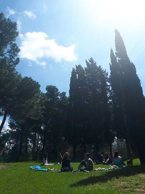 Yoga retreat in Casa Divina at Casa Divina in Pisa