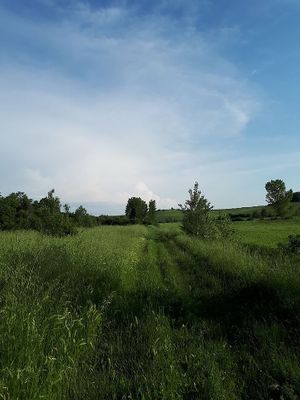 Hiking in the green paths at Casa Divina in Pisa