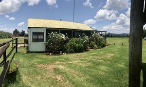 Very warm hospitality, food choices dominantly vegan and vegetarian and you can discuss exactly what combination of foods to eat, fantastic!  at The Cat & The Cow in Tonteldoos