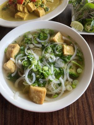 Vegetable Pho vegan broth  at Old Saigon Cafe in Houston