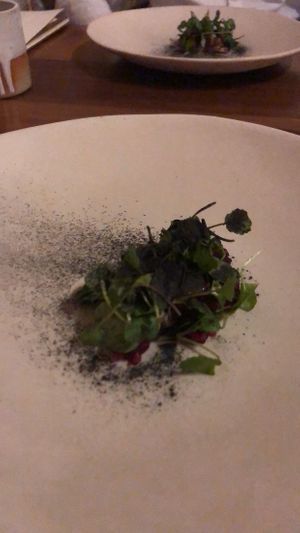 9 at Alchemilla in Nottingham