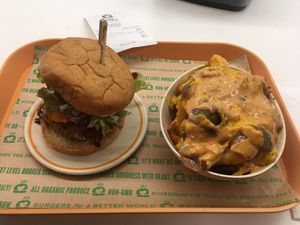 Bleu bbq and special fries at Next Level Burger - Brooklyn in Brooklyn