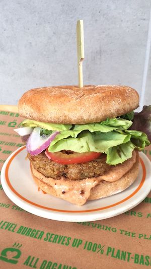 SPECIAL SAUCE - Savory Meaty Patty topped with House-made Special Sauce, Dill Pickles and Cheddar or Swiss Style Cheese at Next Level Burger - Brooklyn in Brooklyn