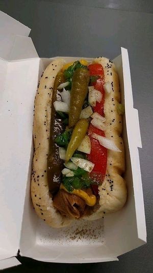 Vegan hot dog called the Rad Dog.  Chicago style.  Locally homemade vegan hotdogs that are delicious and taste nothing like packaged hot dogs!! at Relish in Griffith