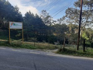  at Mountain Paradise Hotel in Nagarkot