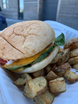 Breakfast sandwich with Hashbrowns 🌱💚  at Bravocados in Tofino