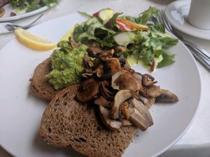 Avocado smash with mushrooms at Artifakt Gallery & Cafe in Swansea