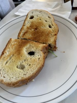 Panini  at Copeka Coffee in Grand Junction