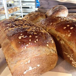 maple wheat at Knead Bakery in Burlington