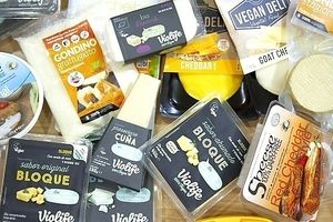 Quesos veganos, tienda vegana en Barcelona, Vegacelona at Plant Based Market in Barcelona