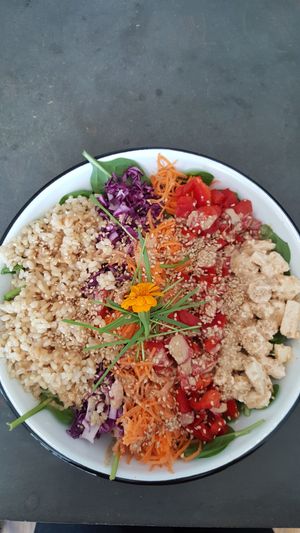Asian salad at Eight - The Health Lounge in Lisbon