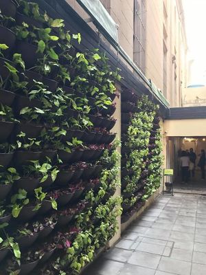 entrance at Prato Verde in Porto Alegre