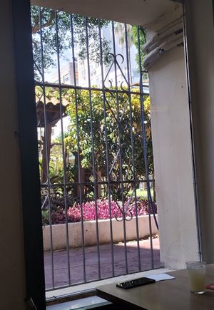 Look to the garden at Prato Verde in Porto Alegre