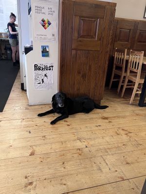 🥺❤️  at Střecha in Prague