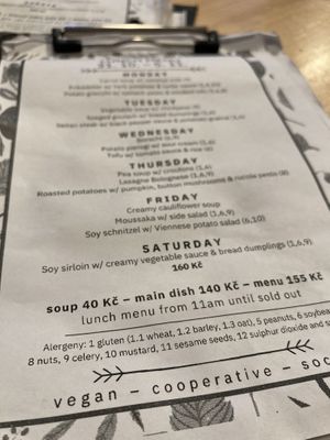 Weekly menu   at Střecha in Prague