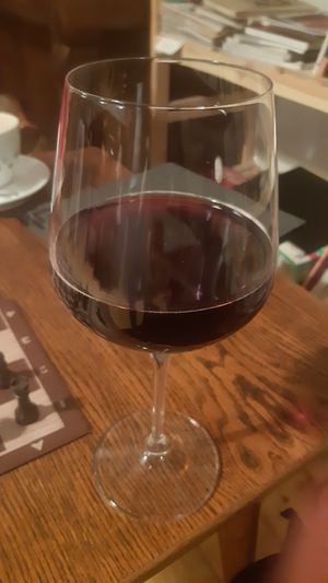 Vegan wine at Střecha in Prague