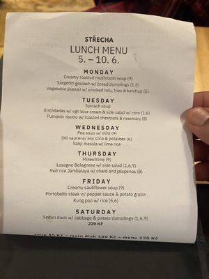Menu - specials   at Střecha in Prague