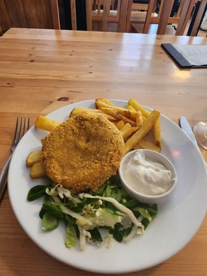 Fried cheese and chips! at Střecha in Prague