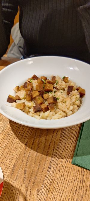 Smoked tofu with halusky dumplings at Střecha in Prague