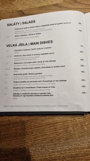  at Střecha in Prague