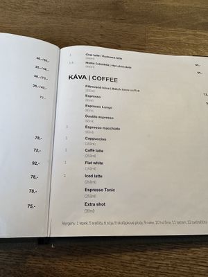   at Střecha in Prague