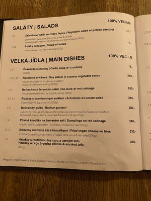 100% vegan  at Střecha in Prague