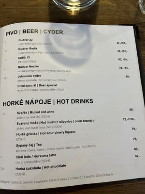 Menu  at Střecha in Prague