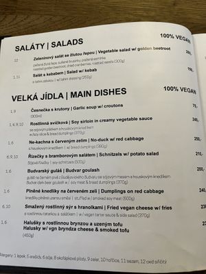   at Střecha in Prague