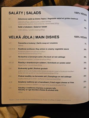 Entree section of the Menu at Střecha in Prague