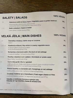   at Střecha in Prague