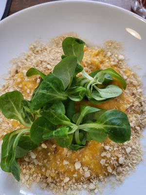 Tuesday lunch menu - pumpkin risotto 👌 at Střecha in Prague