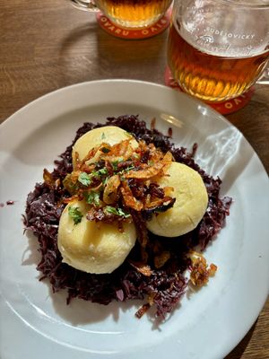 The best vegan food in Prague!   at Střecha in Prague