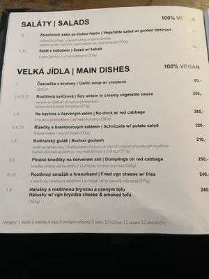 Main menu  at Střecha in Prague