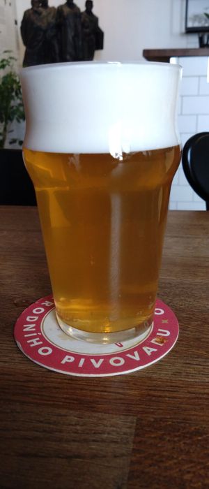 Sour at Střecha in Prague