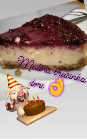 Best tofu cake in my life! Tastes definitely the same as the cheesecake!!! at Střecha in Prague