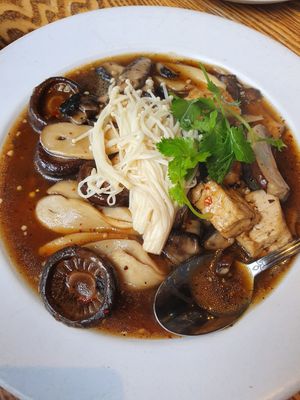 Mountain of Mushrooms at Jhanjay - Wallingford in Seattle