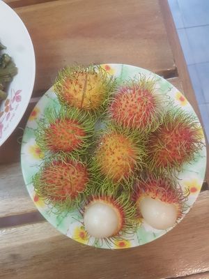 Free rambutan at Somjit in Chanthaburi