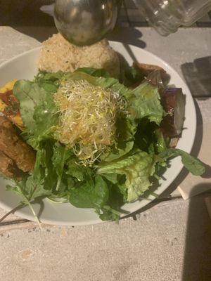   at AIN SOPH.Journey in Kyoto