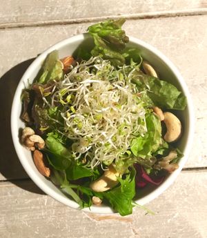 Salad at AIN SOPH.Journey in Kyoto