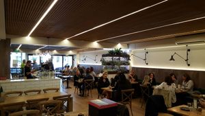 Café view at The Butcher's Son in Auckland