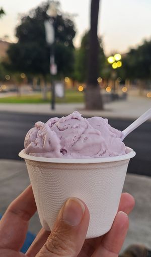  at Nature's Organic Ice Cream in Fremont