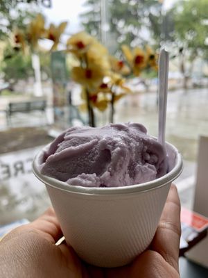 Vegan Lavender Ice Cream (Single Scoop) at Nature's Organic Ice Cream in Fremont