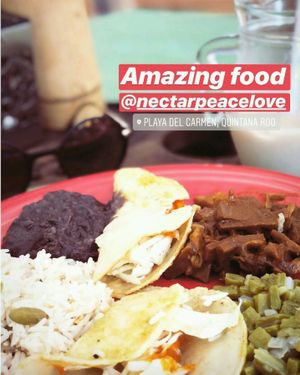 buffet at Nectar - Peace & Love Food in Playa Del Carmen