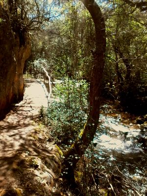 Near to the bed and breakfast is a great walk to a natural springs. Ideal for swimming, or having a picnic. at Casa Das Flores in Tomar