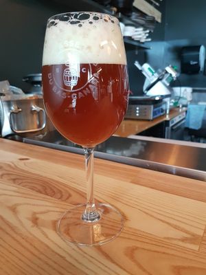 Papillon de nuit
American strong ale at Brasserie du Bas-Canada in Gatineau