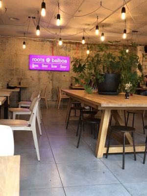 Seating area   at roots - Schanzengraben in Zurich