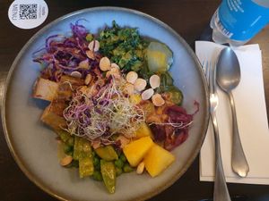 Bowl at roots - Schanzengraben in Zurich